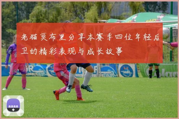 老猫莫布里分享本赛季四位年轻后卫的精彩表现与成长故事