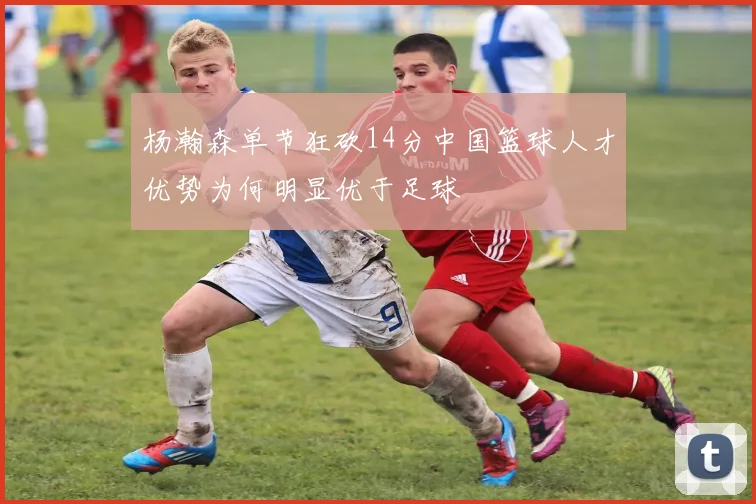 杨瀚森单节狂砍14分中国篮球人才优势为何明显优于足球