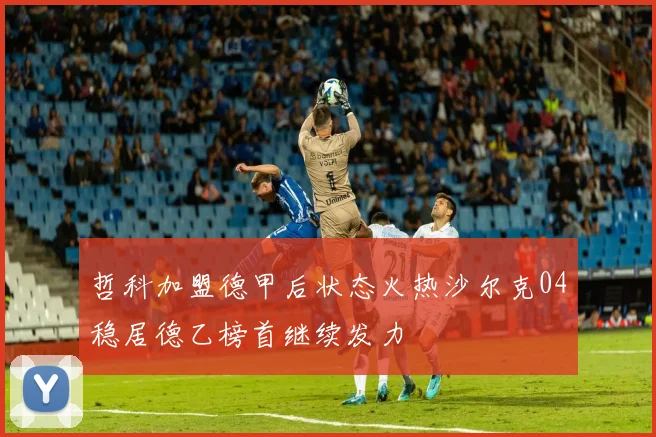 哲科加盟德甲后状态火热沙尔克04稳居德乙榜首继续发力