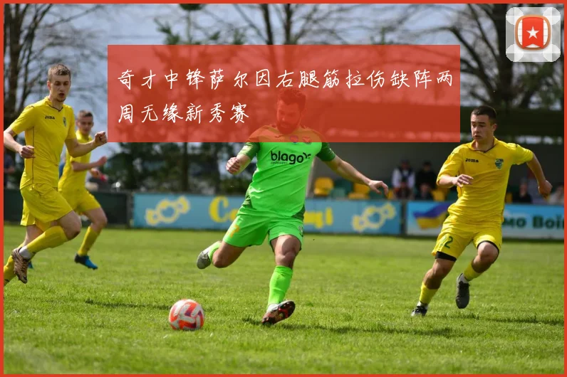 奇才中锋萨尔因右腿筋拉伤缺阵两周无缘新秀赛
