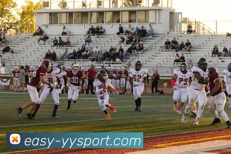 易游体育发展历程